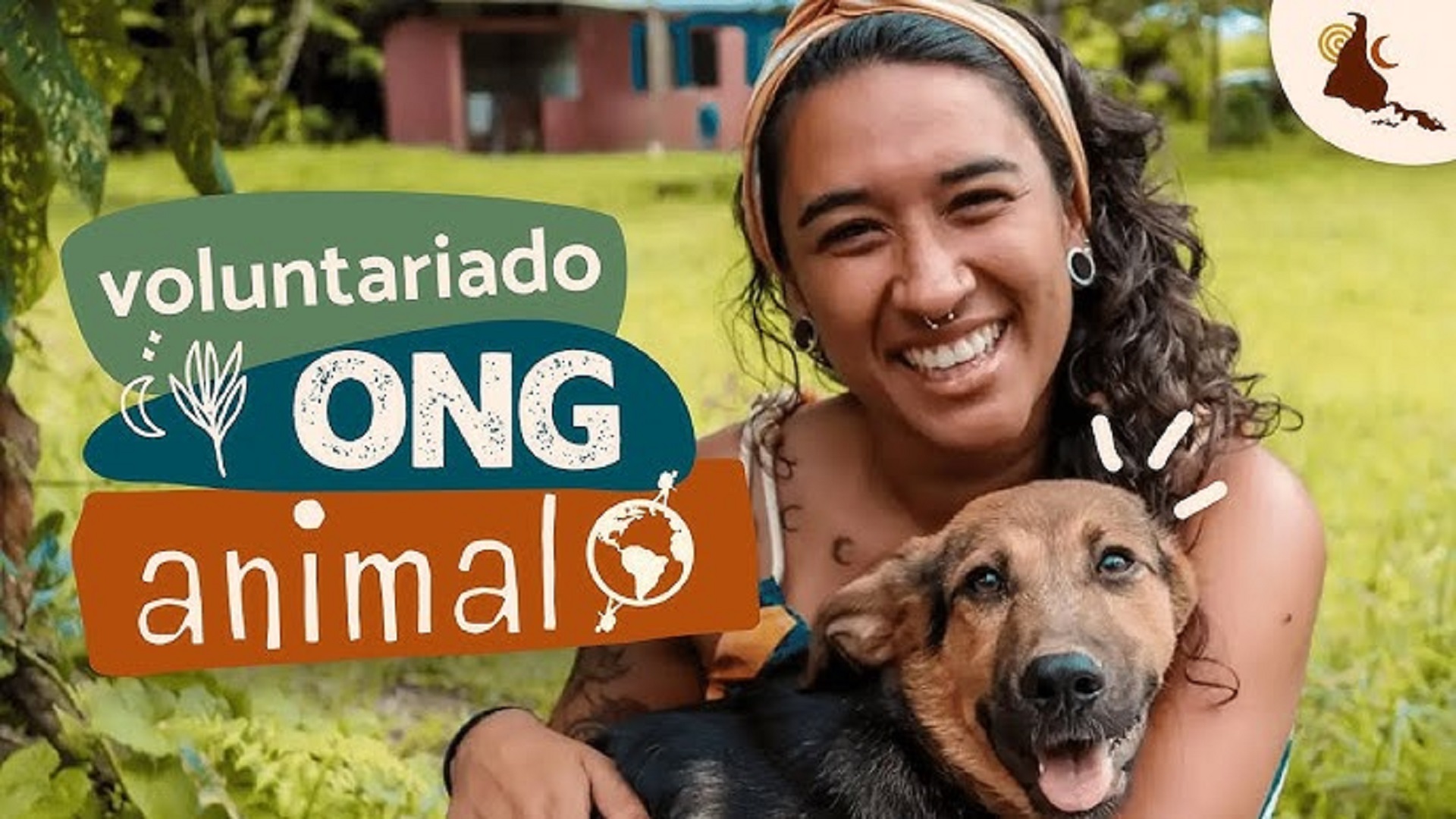 Banner principal adoção de animais