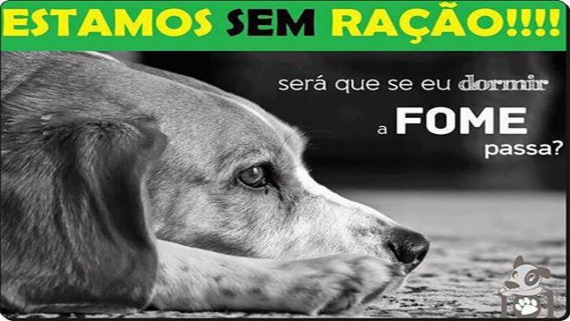 Campanha de doação para a ONG